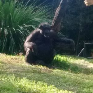 Meet your Posher, Joshua